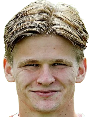 大卫·穆勒·沃尔夫