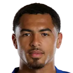 列维·科尔威尔