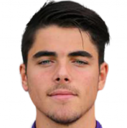 里卡尔多·索蒂尔