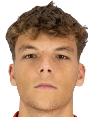 西奥·福尔加多